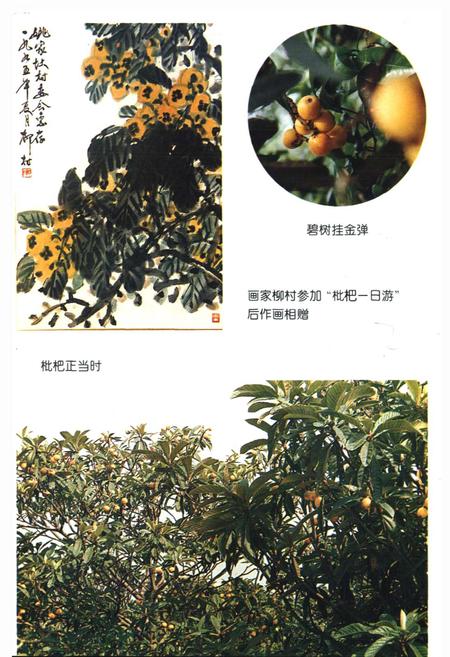 《姚家埭村志》.pdf电子版_浙江省志插图3