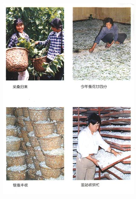 《姚家埭村志》.pdf电子版_浙江省志插图4