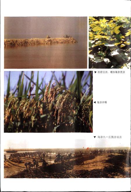 《上虞市土地志》.pdf电子版_浙江省志插图5 《上虞市土地志》.pdf电子版_浙江省志插图5