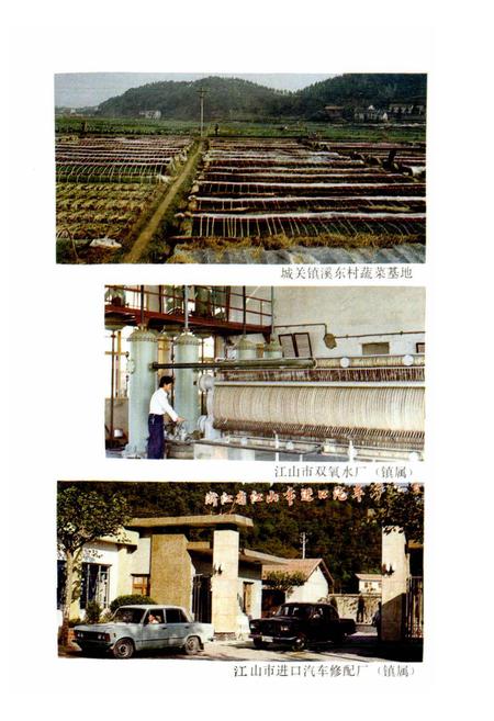 《江山城关镇志》.pdf电子版_浙江省志插图5 《江山城关镇志》.pdf电子版_浙江省志插图5