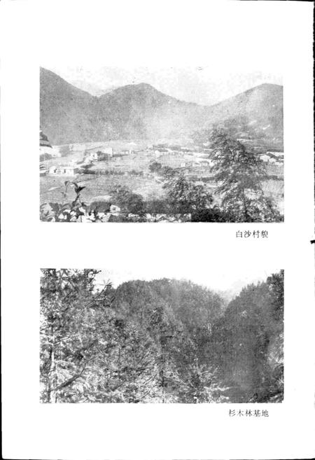 《白沙村志》.pdf电子版_浙江省志插图3