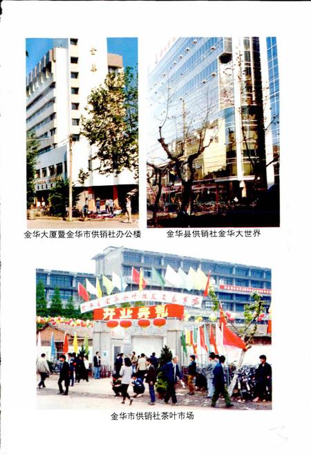 《金华市供销合作社志》.pdf电子版_浙江省志插图5 《金华市供销合作社志》.pdf电子版_浙江省志插图5
