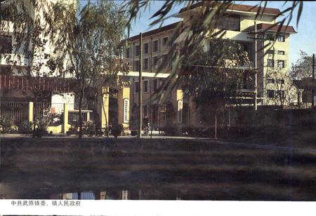 《武原镇志》.pdf电子版_浙江省志插图5 《武原镇志》.pdf电子版_浙江省志插图5