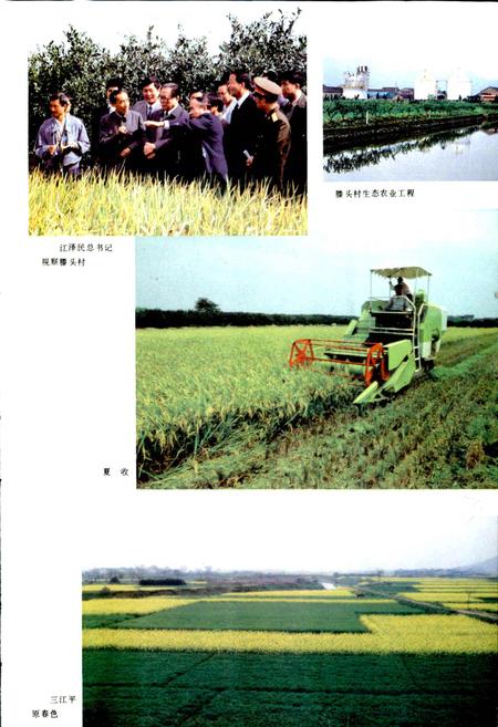 《奉化市志》.pdf电子版_浙江省志插图5 《奉化市志》.pdf电子版_浙江省志插图5