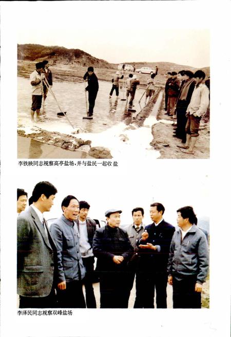 《岱山县盐业志》.pdf电子版_浙江省志插图5