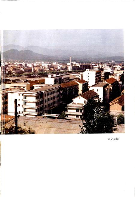 《武义县志》.pdf电子版_浙江省志插图5 《武义县志》.pdf电子版_浙江省志插图5