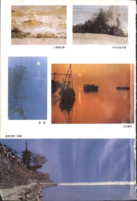 《海宁市志》.pdf电子版_浙江省志插图4 《海宁市志》.pdf电子版_浙江省志插图4