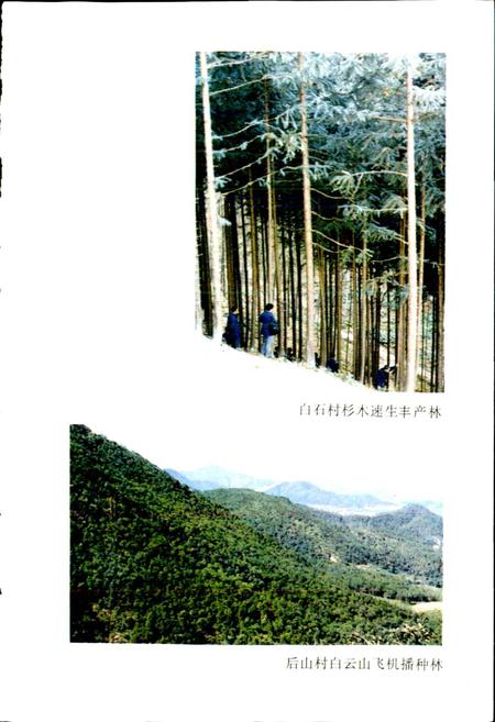 《临海林业特产志》.pdf电子版_浙江省志插图2