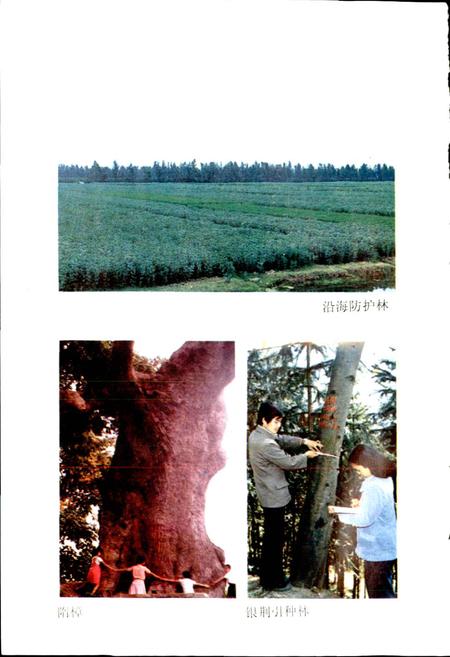 《临海林业特产志》.pdf电子版_浙江省志插图3