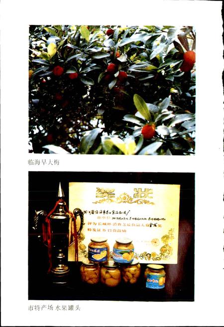 《临海林业特产志》.pdf电子版_浙江省志插图5