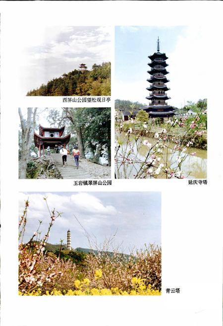 《松阳县志》.pdf电子版_浙江省志插图5 《松阳县志》.pdf电子版_浙江省志插图5