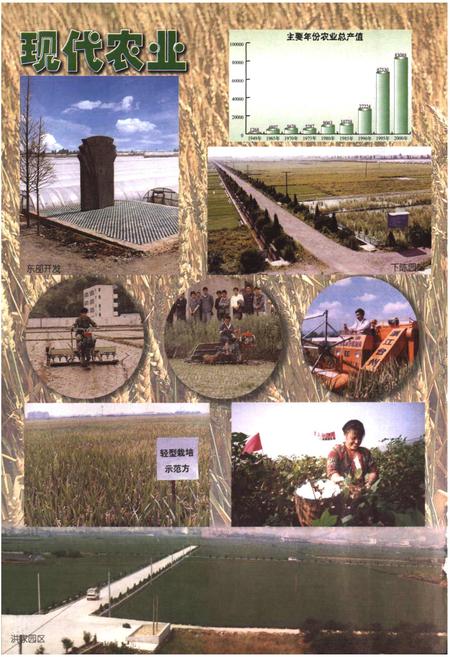 《椒江农业志》.pdf电子版_浙江省志插图4 《椒江农业志》.pdf电子版_浙江省志插图4