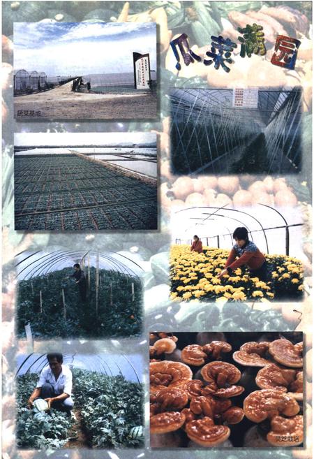 《椒江农业志》.pdf电子版_浙江省志插图5 《椒江农业志》.pdf电子版_浙江省志插图5