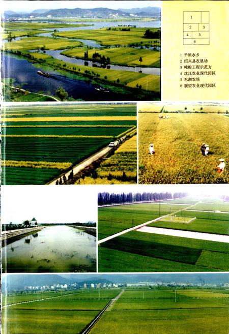 《绍兴县志 第二册 经济 政治》.pdf电子版_浙江省志插图2 《绍兴县志 第二册 经济 政治》.pdf电子版_浙江省志插图2