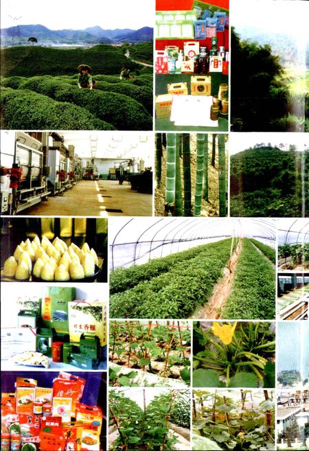 《绍兴县志 第二册 经济 政治》.pdf电子版_浙江省志插图3 《绍兴县志 第二册 经济 政治》.pdf电子版_浙江省志插图3