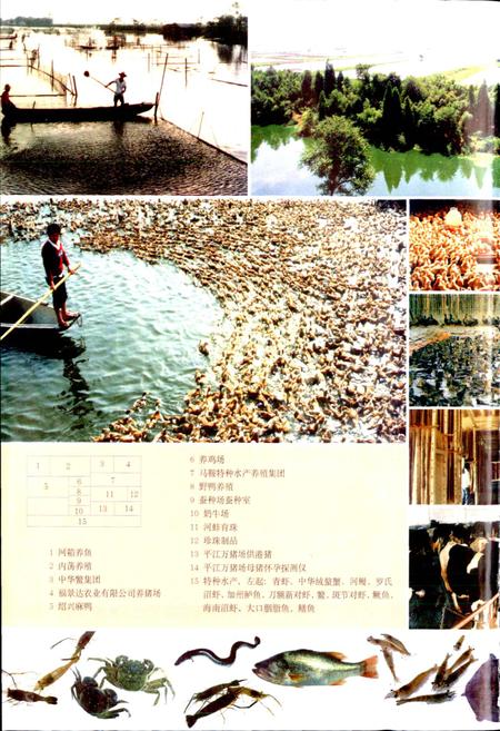 《绍兴县志 第二册 经济 政治》.pdf电子版_浙江省志插图5 《绍兴县志 第二册 经济 政治》.pdf电子版_浙江省志插图5