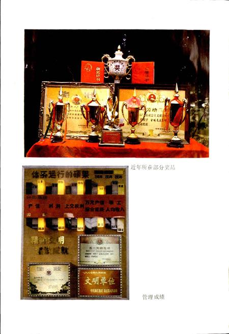 《江山水泥厂志》.pdf电子版_浙江省志插图3