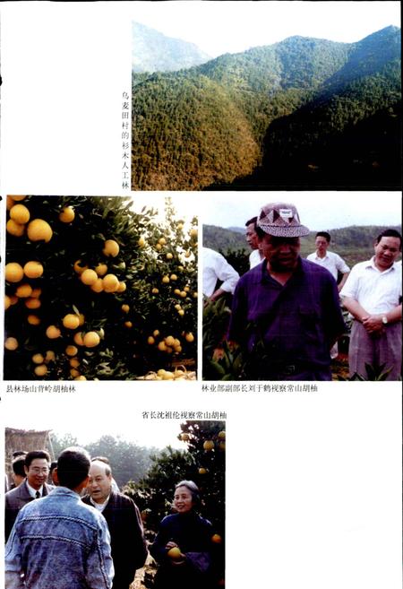 《常山县林业志》.pdf电子版_浙江省志插图5