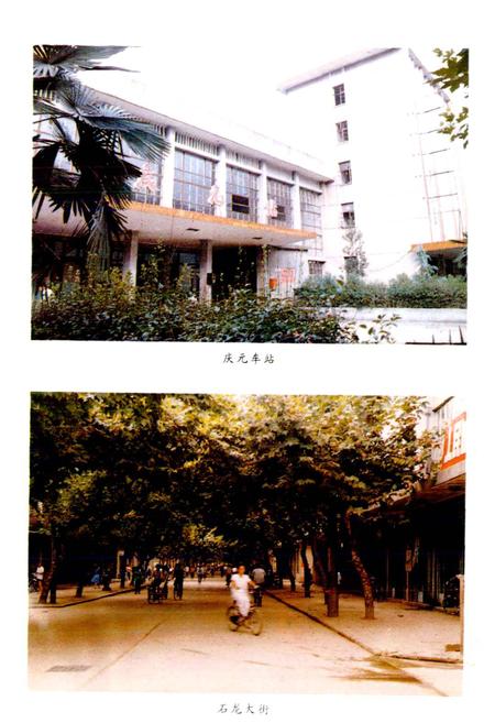 《庆元县交通志》.pdf电子版_浙江省志插图5
