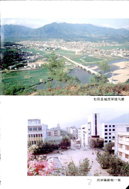 《松阳烟草志》.pdf电子版_浙江省志插图2
