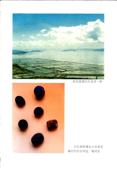 《乐清县水产志》.pdf电子版_浙江省志插图4