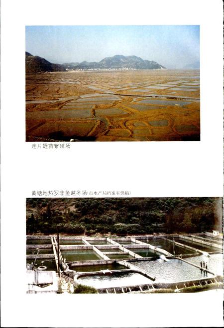 《乐清县水产志》.pdf电子版_浙江省志插图5