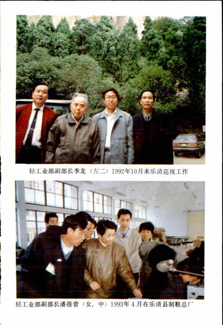 《乐清县二轻工业志》.pdf电子版_浙江省志插图5