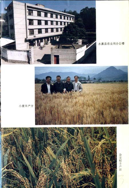 《永嘉县农业志》.pdf电子版_浙江省志插图5