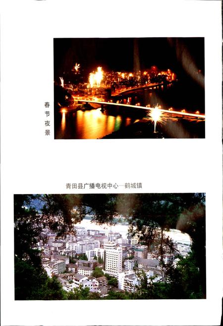 《青田县广播电视志》.pdf电子版_浙江省志插图3