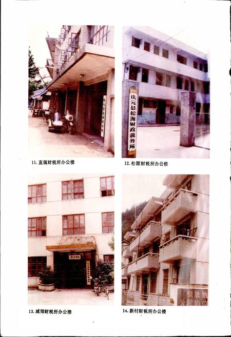 《庆元县财税志》.pdf电子版_浙江省志插图5