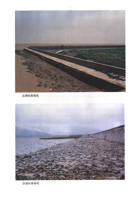 《苍南县水利志》.pdf电子版_浙江省志插图5