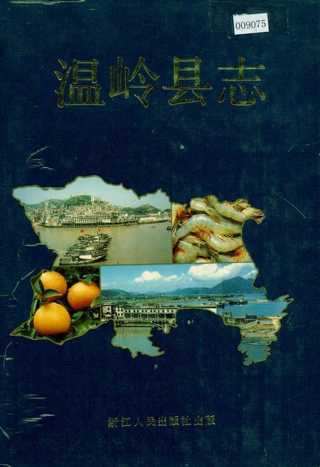 《温岭县志》.pdf电子版_浙江省志