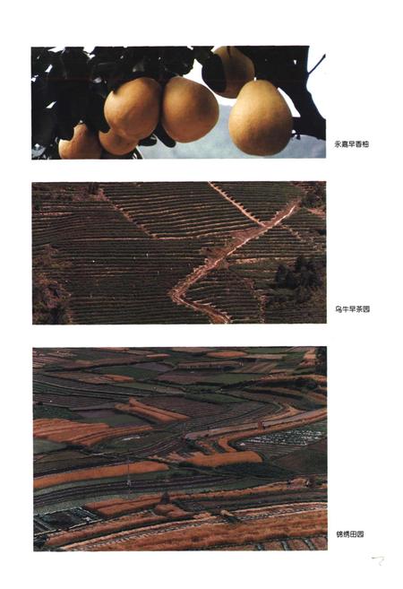 《永嘉县土地志》.pdf电子版_浙江省志插图5 《永嘉县土地志》.pdf电子版_浙江省志插图5