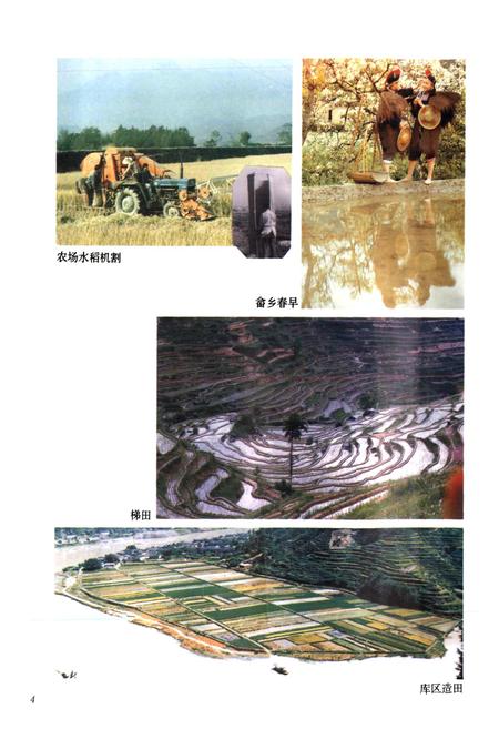 《云和县志》.pdf电子版_浙江省志插图5