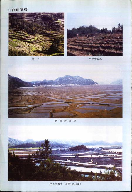 《乐清市农业志》.pdf电子版_浙江省志插图4