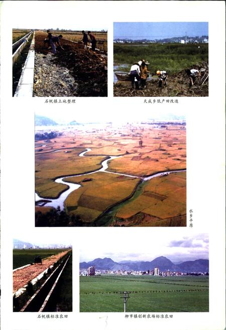 《乐清市农业志》.pdf电子版_浙江省志插图5