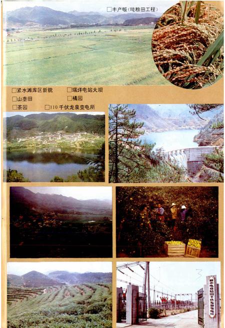 《龙泉县志》.pdf电子版_浙江省志插图4
