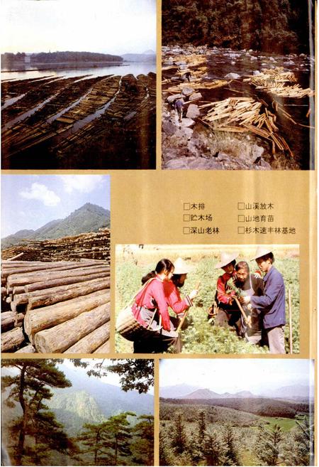 《龙泉县志》.pdf电子版_浙江省志插图5