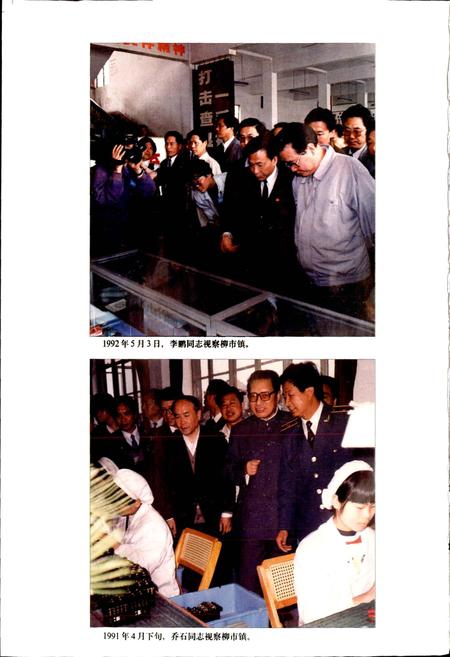 《柳市镇志》.pdf电子版_浙江省志插图4