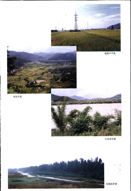 《瑞安市水利志》.pdf电子版_浙江省志插图5