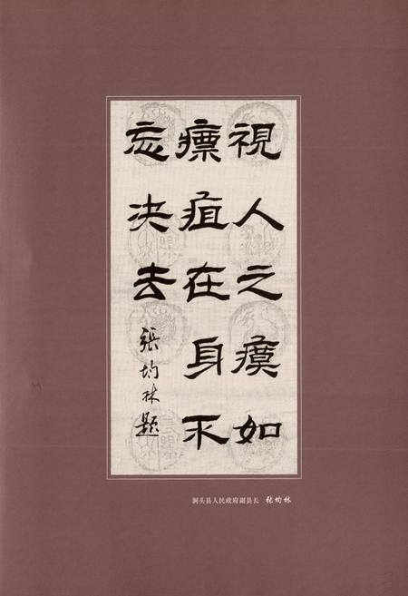 《洞头县人民医院志(1953-2006)》.pdf电子版_浙江省志插图4