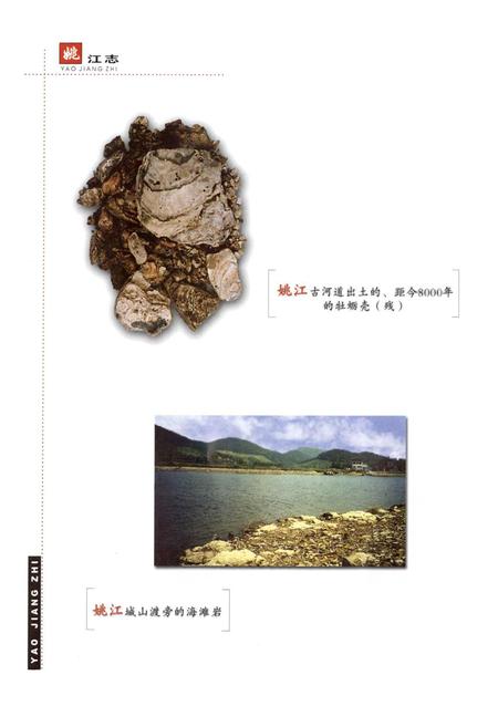《姚江志》.pdf电子版_浙江省志插图4