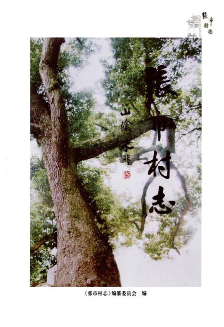 《张市村志》.pdf电子版_浙江省志插图1