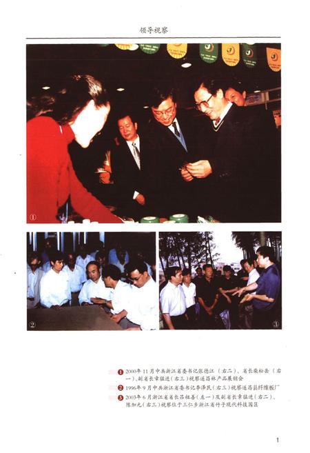 《遂昌县林业志(1995-2005)》.pdf电子版_浙江省志插图4 《遂昌县林业志(1995-2005)》.pdf电子版_浙江省志插图4