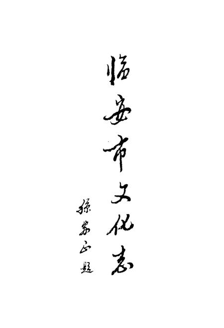 《临安市文化志》.pdf电子版_浙江省志预览图2