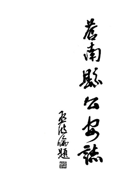 《苍南县公安志》.pdf电子版_浙江省志插图1