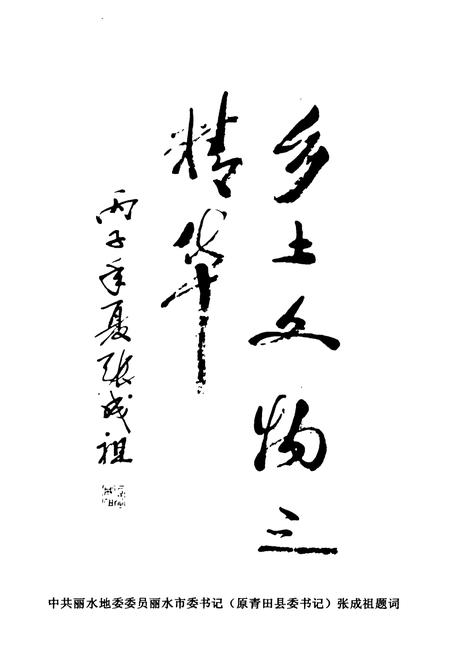 《青田县文物志》.pdf电子版_浙江省志插图4
