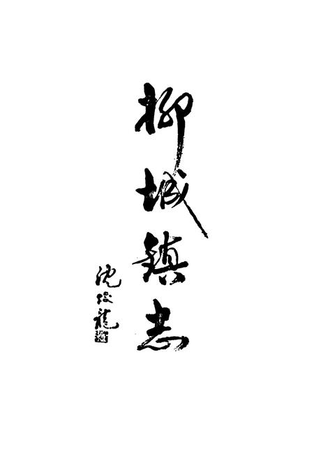 《武义柳城镇志》.pdf电子版_浙江省志插图2