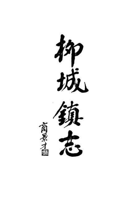 《武义柳城镇志》.pdf电子版_浙江省志插图3