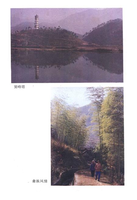 《武义柳城镇志》.pdf电子版_浙江省志插图4